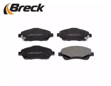 breck-237680070110